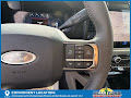 2025 Ford F-350SD Platinum