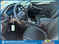 2025 Ford Escape Hybrid Platinum